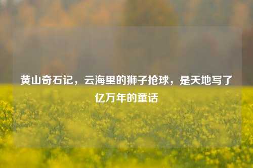 黄山奇石记,云海里的狮子抢球,是天地写了亿万年的童话