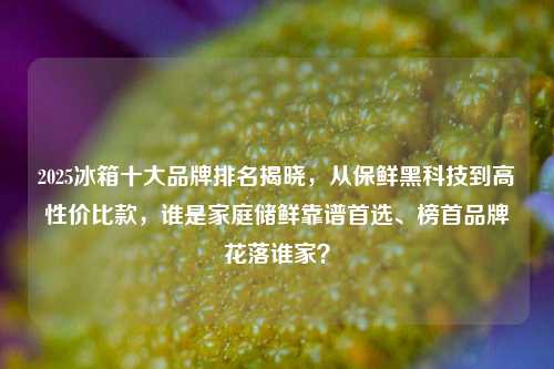 2025冰箱十大品牌排名揭晓,从保鲜黑科技到高性价比款,谁是家庭储鲜靠谱首选、榜首品牌花落谁家?