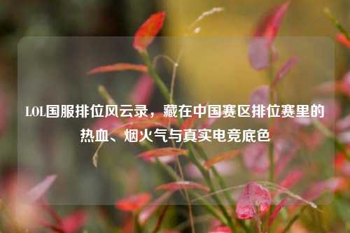 LOL国服排位风云录，藏在中国赛区排位赛里的热血、烟火气与真实电竞底色