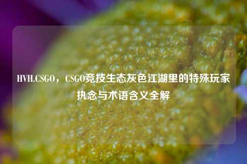 HVH.CSGO,CSGO竞技生态灰色江湖里的特殊玩家执念与术语含义全解