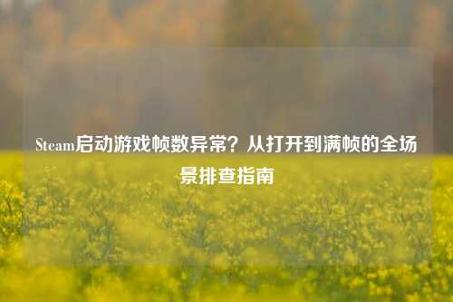 Steam启动游戏帧数异常?从打开到满帧的全场景排查指南