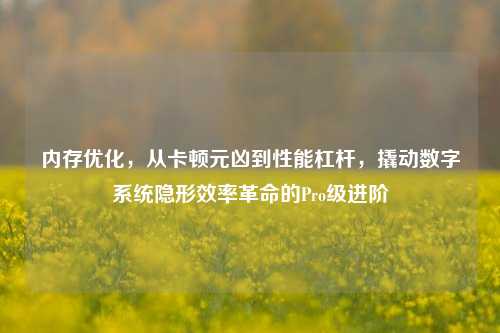 内存优化,从卡顿元凶到性能杠杆,撬动数字系统隐形效率革命的Pro级进阶