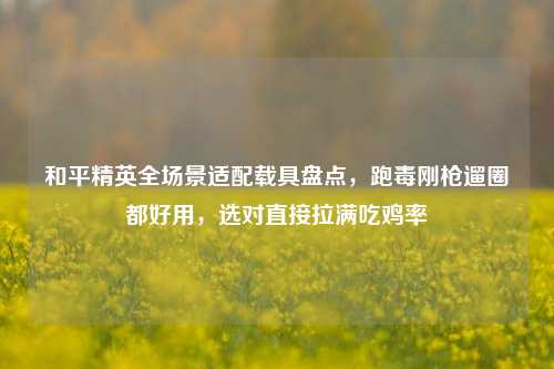 和平精英全场景适配载具盘点，跑毒刚枪遛圈都好用，选对直接拉满吃鸡率