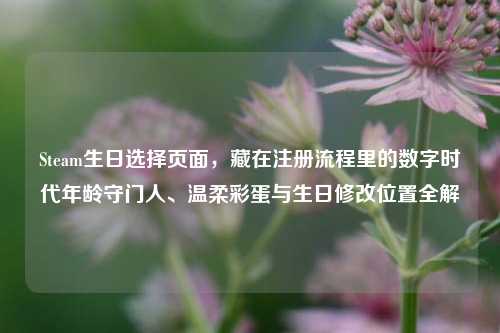 Steam生日选择页面,藏在注册流程里的数字时代年龄守门人、温柔彩蛋与生日修改位置全解
