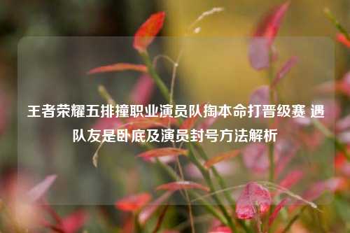 王者荣耀五排撞职业演员队掏本命打晋级赛 遇队友是卧底及演员封号方法解析