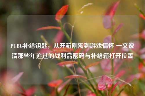 PUBG补给钥匙,从开箱刚需到游戏情怀 一文说清那些年追过的战利品密码与补给箱打开位置