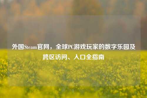 外国Steam官网,全球PC游戏玩家的数字乐园及跨区访问、入口全指南