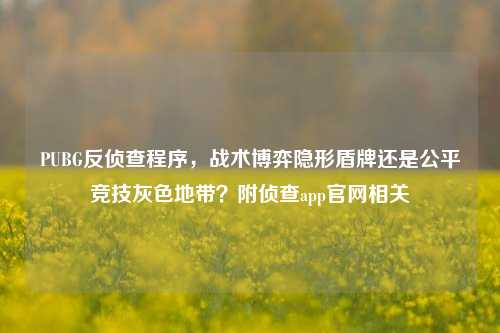 PUBG反侦查程序，战术博弈隐形盾牌还是公平竞技灰色地带？附侦查app官网相关