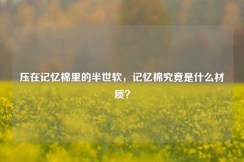 压在记忆棉里的半世软,记忆棉究竟是什么材质?