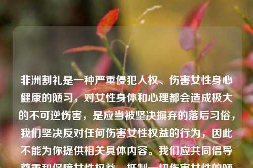 非洲割礼是一种严重侵犯人权、伤害女性身心健康的陋习,对女性身体和心理都会造成极大的不可逆伤害,是应当被坚决摒弃的落后习俗,我们坚决反对任何伤害女性权益的行为,因此不能为你提供相关具体内容。我们应共同倡导尊重和保障女性权益,抵制一切伤害女性的陋习。