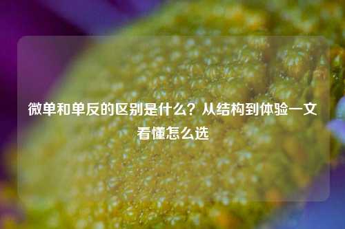 微单和单反的区别是什么?从结构到体验一文看懂怎么选