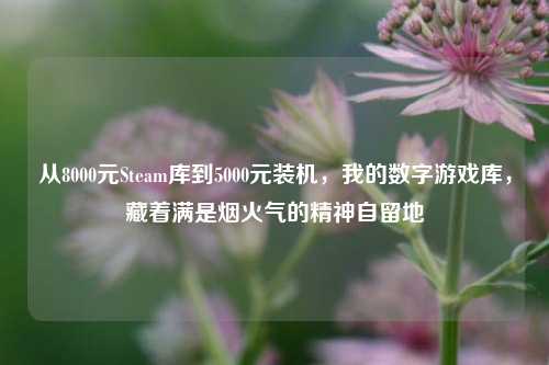 从8000元Steam库到5000元装机,我的数字游戏库,藏着满是烟火气的精神自留地
