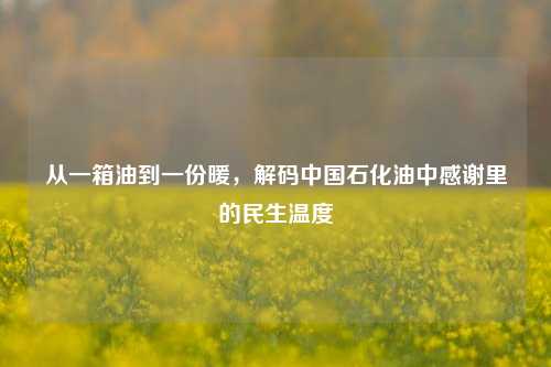 从一箱油到一份暖，解码中国石化油中感谢里的民生温度