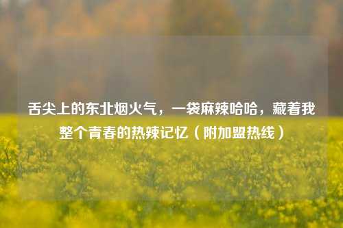 舌尖上的东北烟火气,一袋麻辣哈哈,藏着我整个青春的热辣记忆(附加盟热线)
