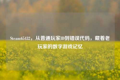 Steam65432,从普通玩家ID到错误代码,藏着老玩家的数字游戏记忆
