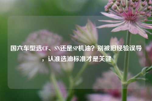 国六车型选CF、SN还是SP机油？别被旧经验误导，认准选油标准才是关键