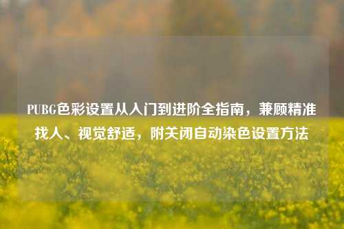 PUBG色彩设置从入门到进阶全指南,兼顾精准找人、视觉舒适,附关闭自动染色设置方法