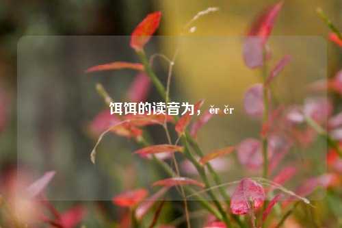饵饵的读音为,ěr ěr