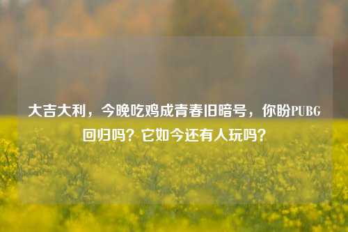大吉大利,今晚吃鸡成青春旧暗号,你盼PUBG回归吗?它如今还有人玩吗?