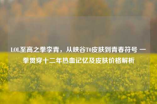 LOL至高之拳李青,从峡谷T0皮肤到青春符号 一拳贯穿十二年热血记忆及皮肤价格解析