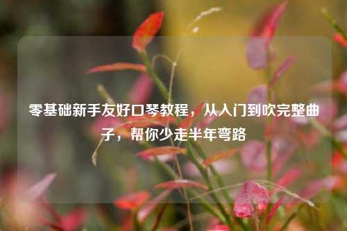 零基础新手友好口琴教程,从入门到吹完整曲子,帮你少走半年弯路