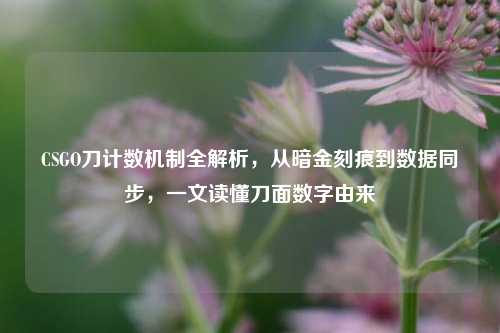 CSGO刀计数机制全解析,从暗金刻痕到数据同步,一文读懂刀面数字由来