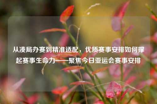 从凑局办赛到精准适配,优质赛事安排如何撑起赛事生命力——聚焦今日亚运会赛事安排