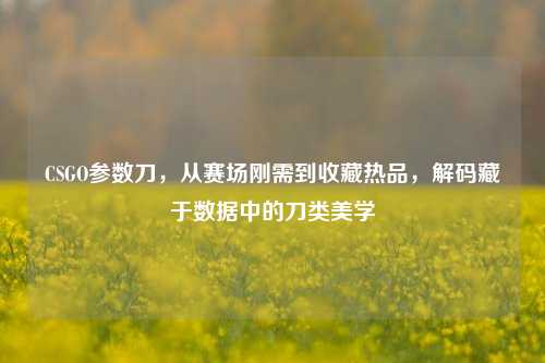 CSGO参数刀,从赛场刚需到收藏热品,解码藏于数据中的刀类美学