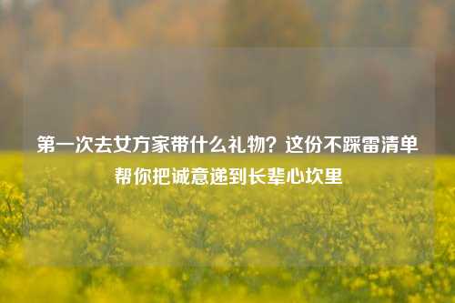 第一次去女方家带什么礼物?这份不踩雷清单帮你把诚意递到长辈心坎里