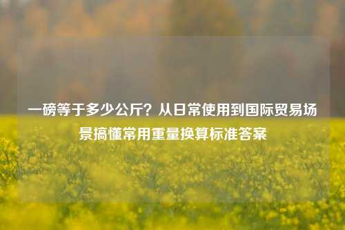 一磅等于多少公斤?从日常使用到国际贸易场景搞懂常用重量换算标准答案