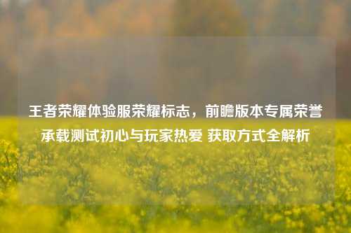 王者荣耀体验服荣耀标志,前瞻版本专属荣誉承载测试初心与玩家热爱 获取方式全解析
