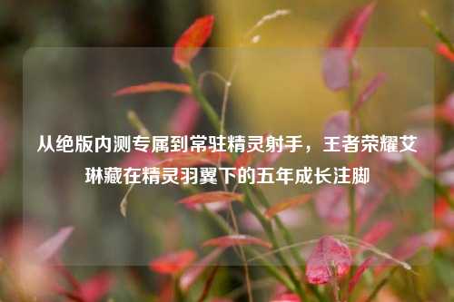 从绝版内测专属到常驻精灵射手,王者荣耀艾琳藏在精灵羽翼下的五年成长注脚