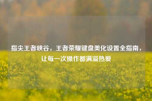 指尖王者峡谷,王者荣耀键盘美化设置全指南,让每一次操作都满溢热爱