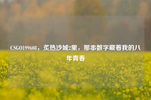 CSGO199608，炙热沙城2里，那串数字藏着我的八年青春