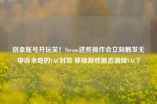 别拿账号开玩笑！Steam这些操作会立刻触发无申诉余地的VAC封禁 移除游戏能否消除VAC？