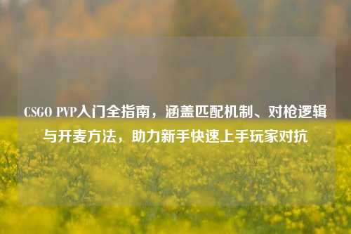 CSGO PVP入门全指南,涵盖匹配机制、对枪逻辑与开麦方法,助力新手快速上手玩家对抗
