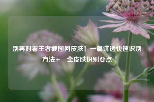 别再对着王者截图问皮肤!一篇讲透快速识别方法+暃全皮肤识别要点