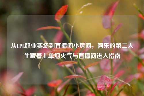 从LPL职业赛场到直播间小房间,阿乐的第二人生藏着上单烟火气与直播间进入指南