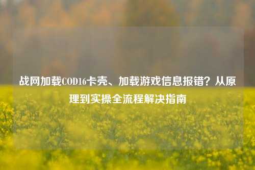 战网加载COD16卡壳、加载游戏信息报错?从原理到实操全流程解决指南