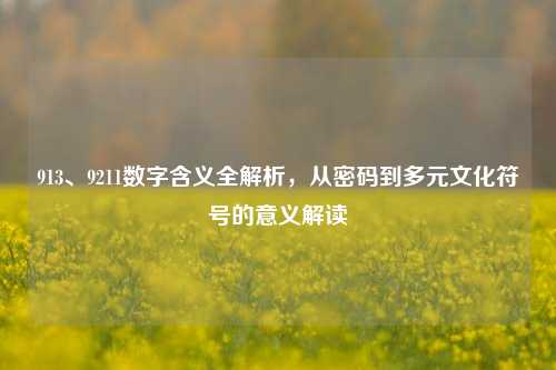 913、9211数字含义全解析,从密码到多元文化符号的意义解读