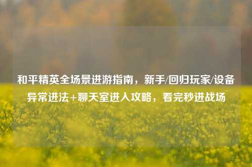 和平精英全场景进游指南,新手/回归玩家/设备异常进法+聊天室进入攻略,看完秒进战场