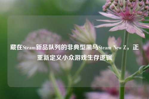 藏在Steam新品队列的非典型黑马Steam New Z,正重新定义小众游戏生存逻辑