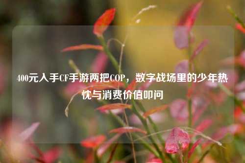 400元入手CF手游两把COP,数字战场里的少年热忱与消费价值叩问