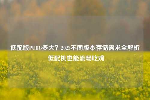 低配版PUBG多大?2023不同版本存储需求全解析 低配机也能流畅吃鸡