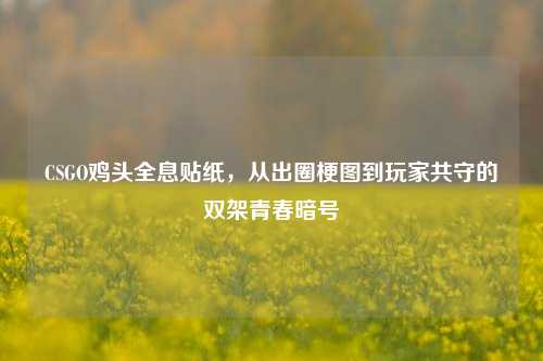 CSGO鸡头全息贴纸,从出圈梗图到玩家共守的双架青春暗号