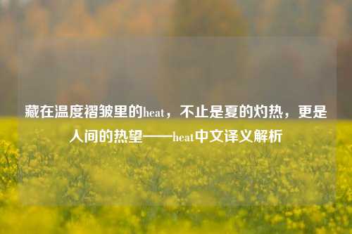 藏在温度褶皱里的heat,不止是夏的灼热,更是人间的热望——heat中文译义解析
