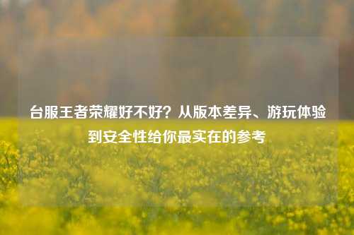 台服王者荣耀好不好？从版本差异、游玩体验到安全性给你最实在的参考