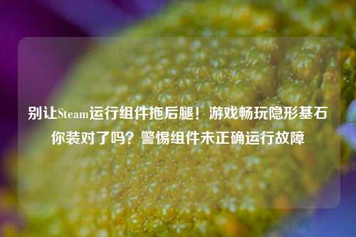 别让Steam运行组件拖后腿！游戏畅玩隐形基石你装对了吗？警惕组件未正确运行故障