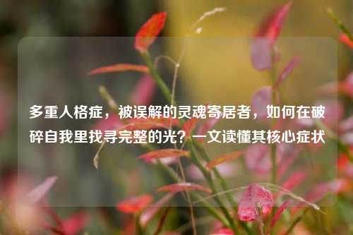 多重人格症,被误解的灵魂寄居者,如何在破碎自我里找寻完整的光?一文读懂其核心症状