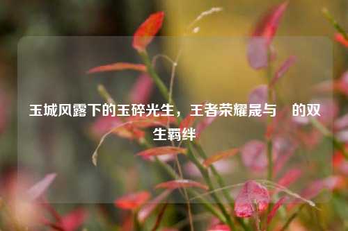 玉城风露下的玉碎光生,王者荣耀晟与暃的双生羁绊